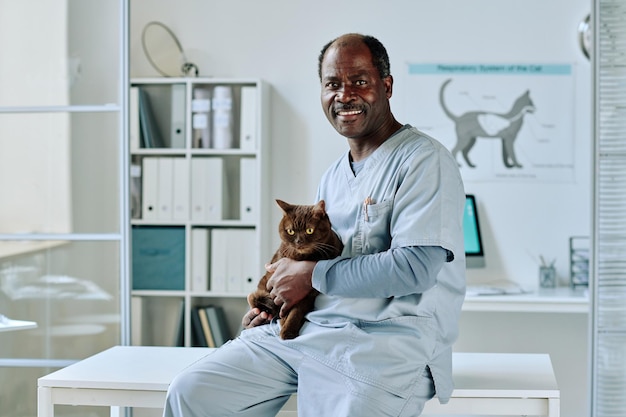 Portrait d'un vétérinaire africain assis sur une table à son bureau avec un chat domestique et souriant à la caméra