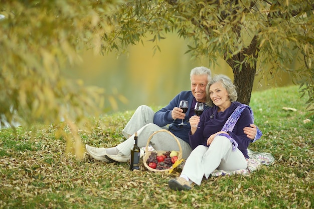 Portrait d'un vieux couple amusant en pique-nique