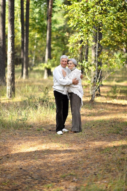 Portrait d'un vieux couple à pied dans le parc d'automne