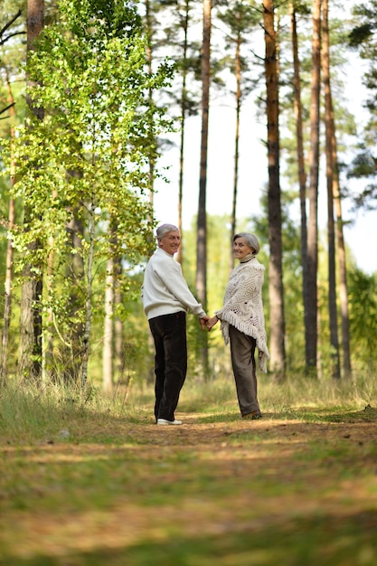 Portrait de vieux couple se promener dans la forêt d'automne