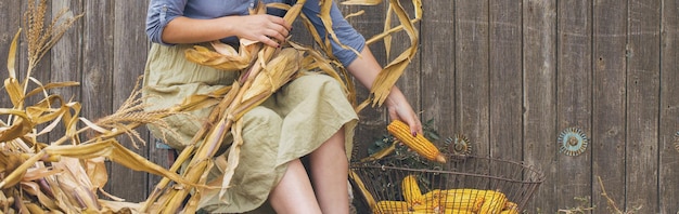 Portrait vintage d'une fille sexy avec le concept de maïs de la récolte rurale