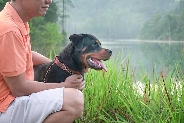 Portrait d'une vue de côté de chien noir