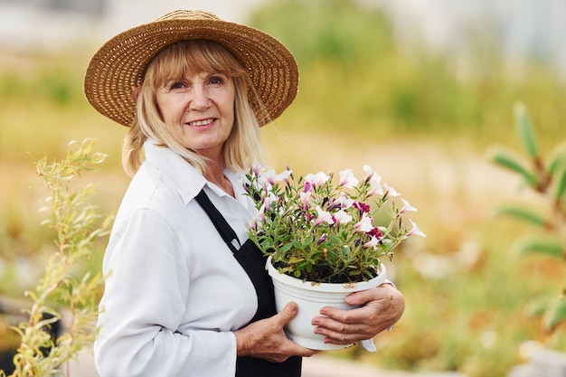 Posant avec un pot de fleurs dans les mains Une femme âgée est dans le jardin pendant la journée Conception des plantes et des saisons