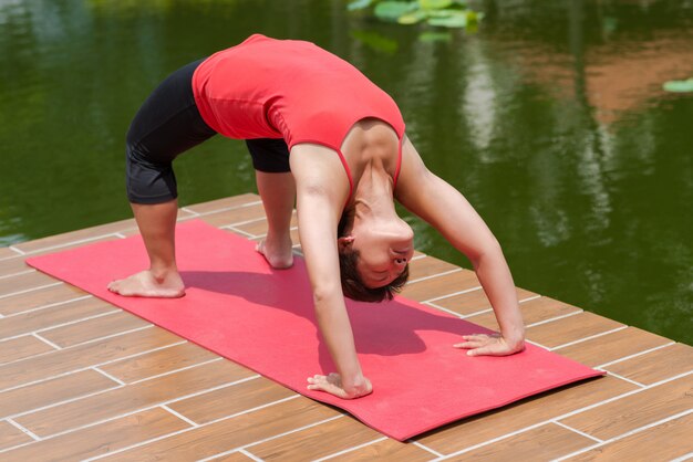 Photo pose chakrasana