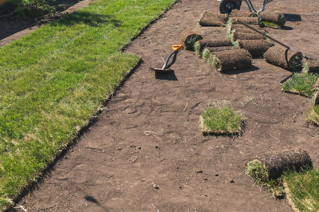 Pose de gazon pour un nouveau concept de pose de gazon de jardin