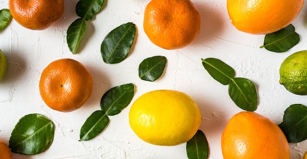 Poser à plat les agrumes frais crus - orange, citron, citron vert et mandarine avec des feuilles de citron vert.