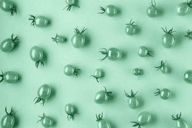 Poser à plat avec des tomates rouges sur le vert. style minimal