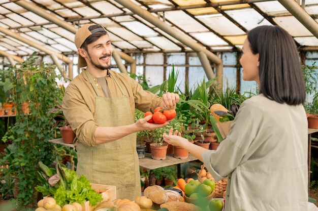 Positif jeune vendeur d'aliments biologiques barbu en tablier montrant les tomates au client tout en le vendant au marché de producteurs