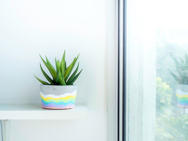 Pot en béton rond bricolage coloré avec plante succulente verte sur une étagère en bois blanc sur un mur blanc près de la fenêtre en verre avec espace de copie. Jardinière unique en ciment peint de couleur arc-en-ciel.