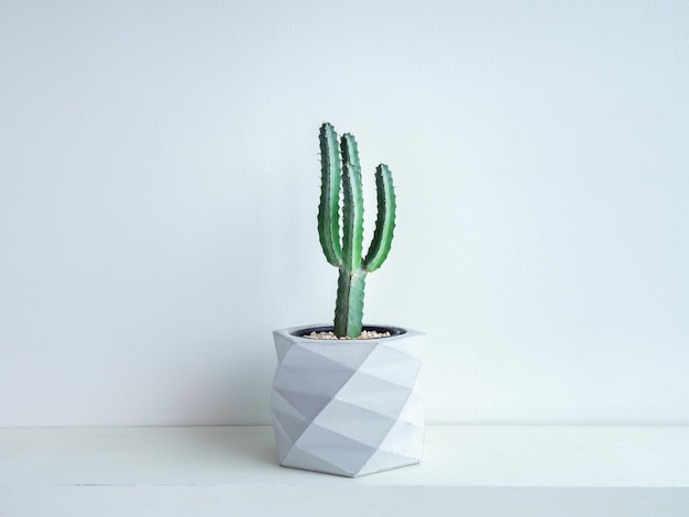 Pot à cactus Pot en béton Jardinière en béton géométrique moderne