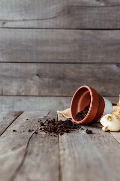 Pot en céramique retourné avec le sol sur une vieille table en bois gris, bulbes de tulipes. Photo de haute qualité