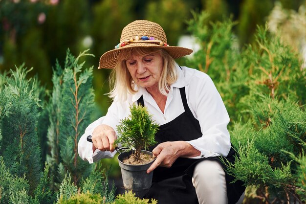 Avec pot dans les mains Senior woman in big hat est dans le jardin pendant la journée Conception des plantes et des saisons
