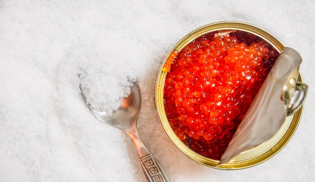 Pot avec du caviar rouge et une cuillère de sel
