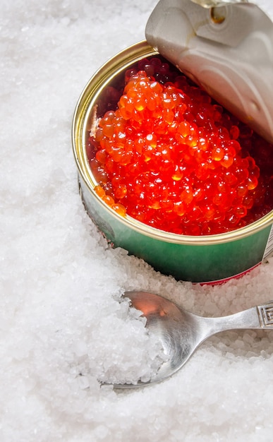 Pot avec du caviar rouge et une cuillère de sel