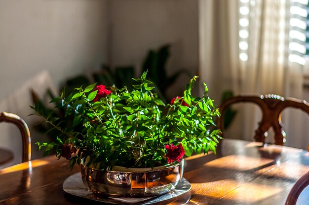 Pot de fleur sur table en bois