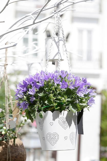Pot de fleurs blanc avec fleurs violettes suspendu à un arbre artificiel