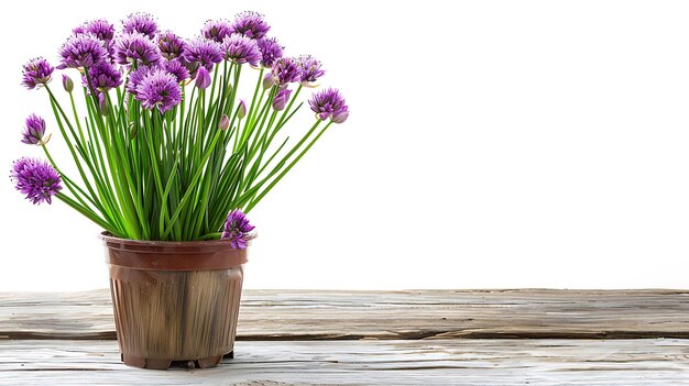 un pot de fleurs avec des fleurs violettes sur une table en bois
