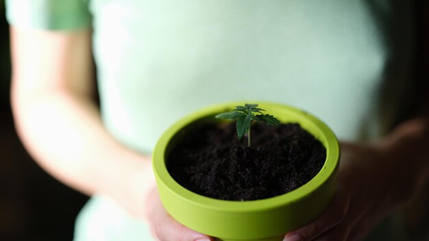 Pot de fleurs avec germe dans les mains d'une femme nouveau départ concept de soins de la terre et de jardinage peu profond