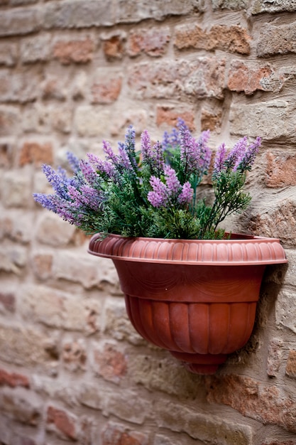 Pot de fleurs avec plante de lavande sur mur de briques antiques