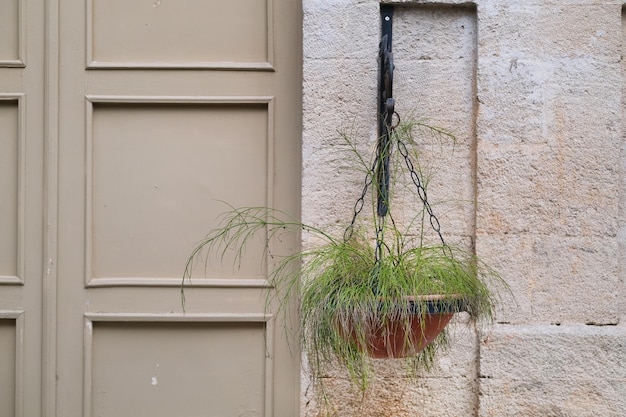 Un pot de fleurs avec une plante verte est suspendu contre un mur de pierre et une porte d'entrée grise d'un ancien bâtiment