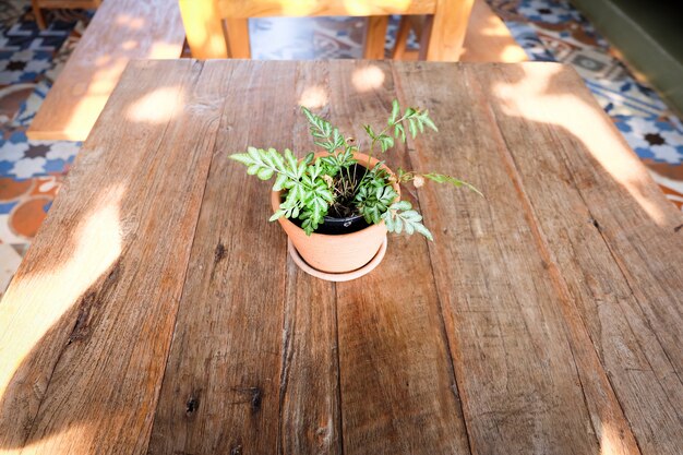 Pot de fleurs sur une table en bois, fond pour hôtel de villégiature vintage