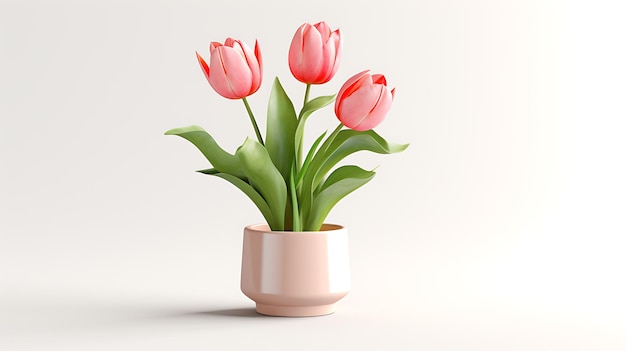 Pot de fleurs tulipe sur fond blanc