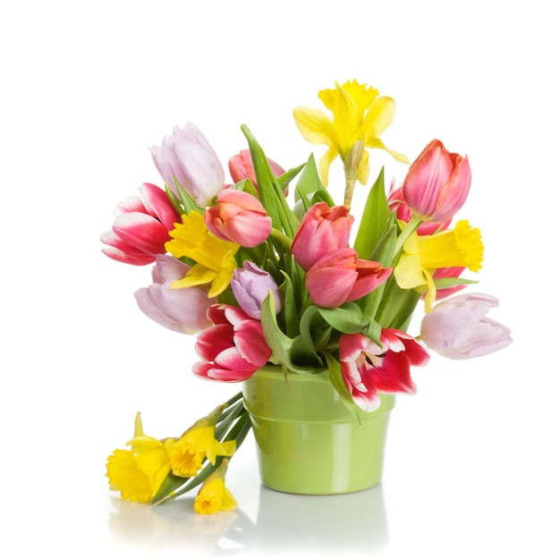 Pot de fleurs avec tulipes et jonquilles sur fond blanc