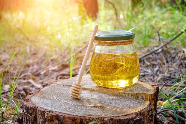 Pot de miel et cuillère à miel en forêt sur souche