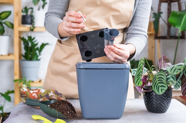 Pot pour plantes avec arrosage automatique repiquage de Calathea dans un pot double arrosage à partir d'un arrosoir montage d'un réservoir d'eau