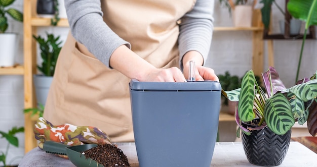 Pot Pour Plantes Avec Arrosage Automatique Repiquage De Calathea Dans Un Pot  Double Arrosage à Partir D'un Arrosoir Montage D'un Réservoir D'eau