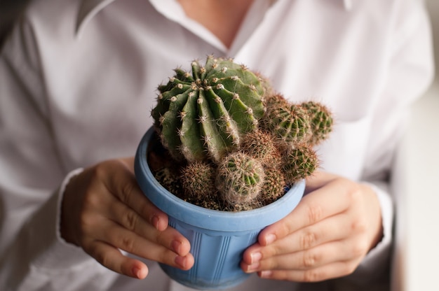 Un pot de succulentes dans vos mains