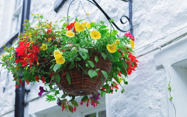 Pot suspendu avec une fleur sur le mur de la maison