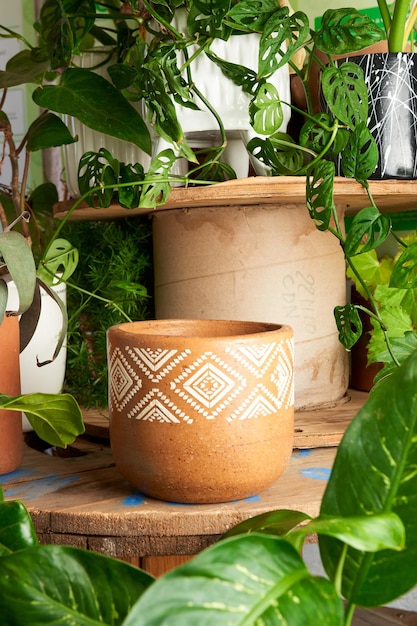 Pot en terre cuite pour plantes sur une table en bois