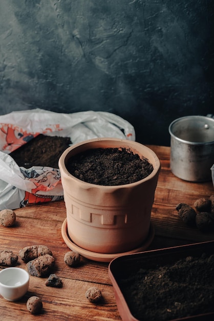 Pot en terre cuite avec terre et graines semées