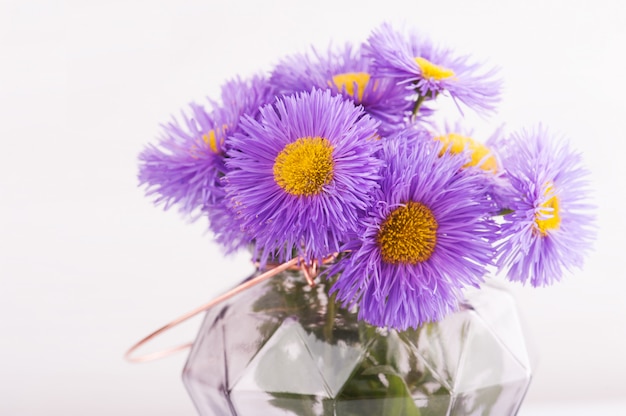 Pot en verre et fleurs violettes