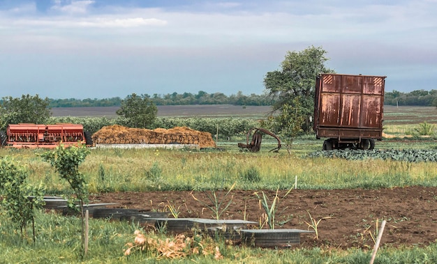 Potager avec une botte de foin en arrière-plan.