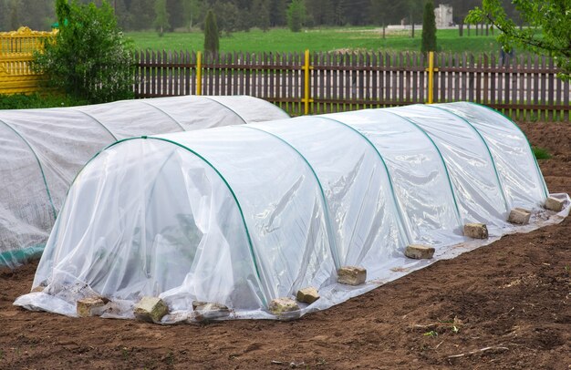 Potager couvert de semis