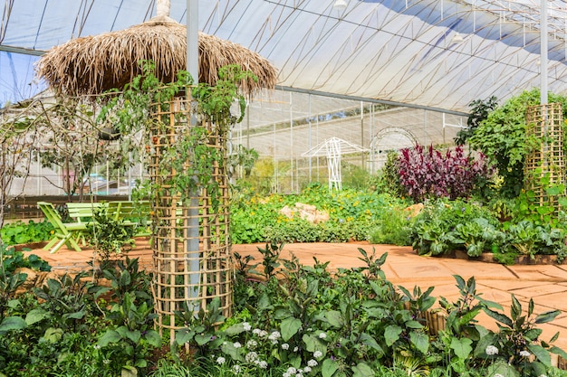 Potager dans une serre