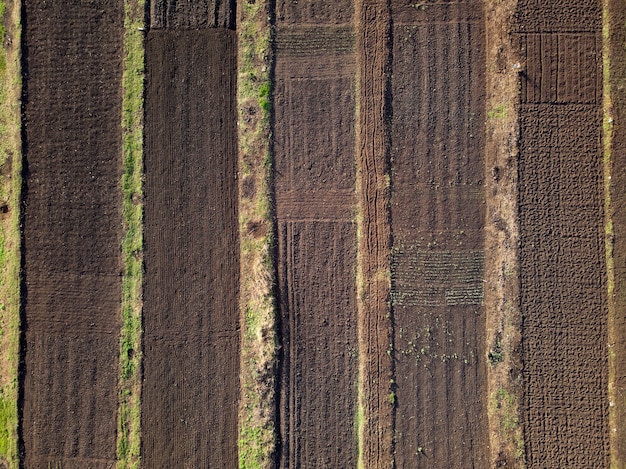 Potager dans le village au début du printemps