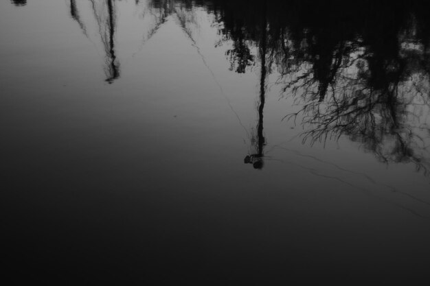 Photo le poteau et les arbres se reflètent dans la rivière