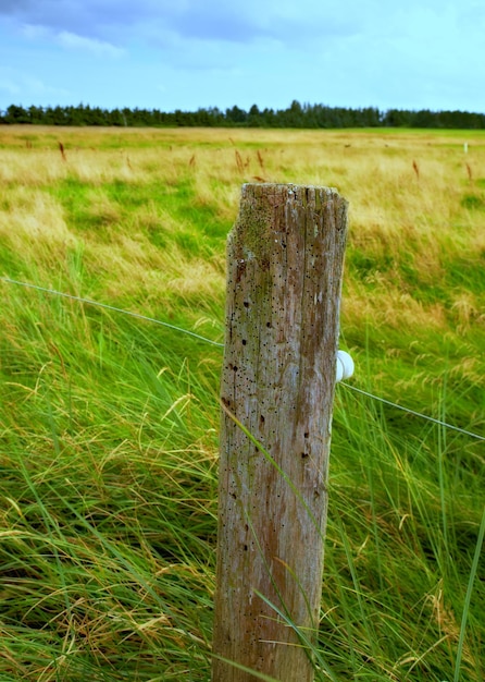 Poteau en bois et clôture électrique dans une prairie éloignée à la campagne pendant la journée Clôture utilisée comme limite pour protéger les animaux de ferme de s'échapper des pâturages verts et des terres agricoles du pays