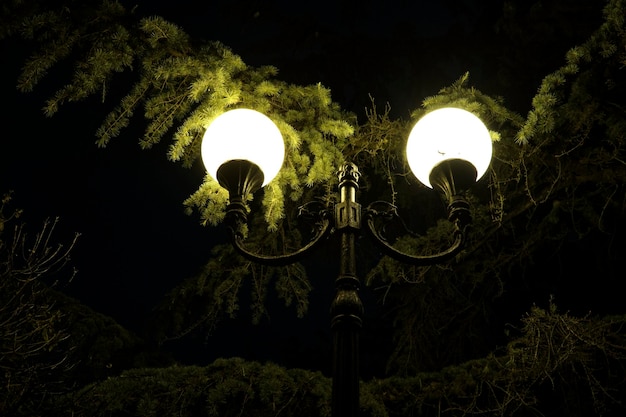 Poteau noir avec des lanternes blanches dans un parc de nuit avec des sapins verts