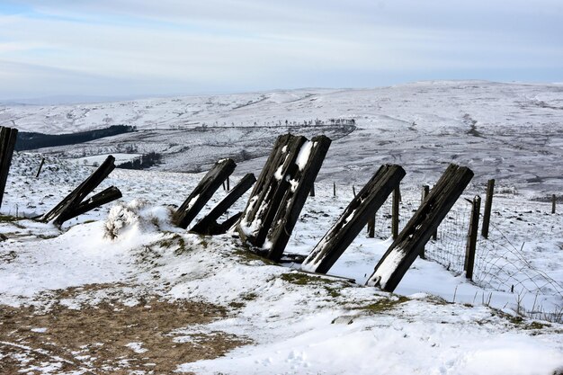 Des poteaux de bois sur un champ couvert de neige