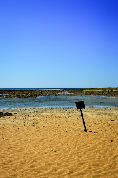 Photo des poteaux de bois sur la plage contre un ciel bleu clair