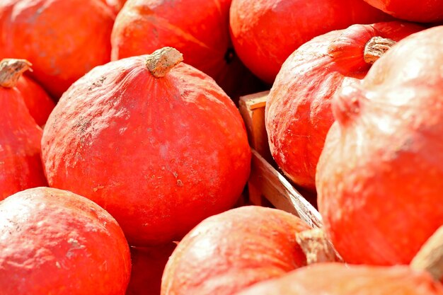Des Potimarrons au marché aux légumes à l'automne.