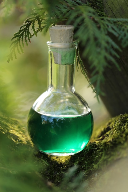 potion à base de plantes Potion magique. Médicament homéopathique. Concept de cosmétiques bio