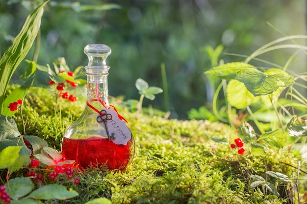 Potion magique en bouteille dans la forêt