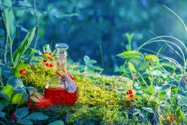 Potion magique en bouteille dans la forêt