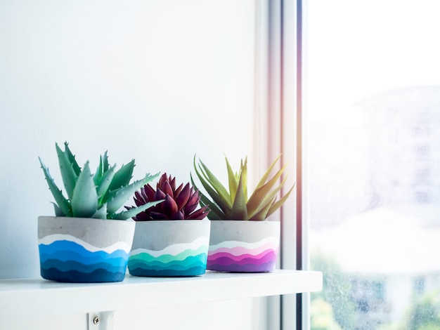 Pots en béton ronds de bricolage colorés avec des plantes succulentes vertes et rouges sur une étagère en bois blanc sur un mur blanc près d'une fenêtre en verre avec espace de copie. Trois jardinières en ciment peintes de couleurs colorées uniques.