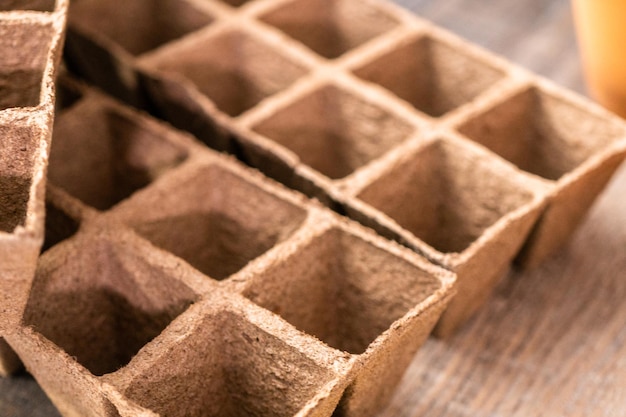 Pots de départ de graines en mousse de tourbe.